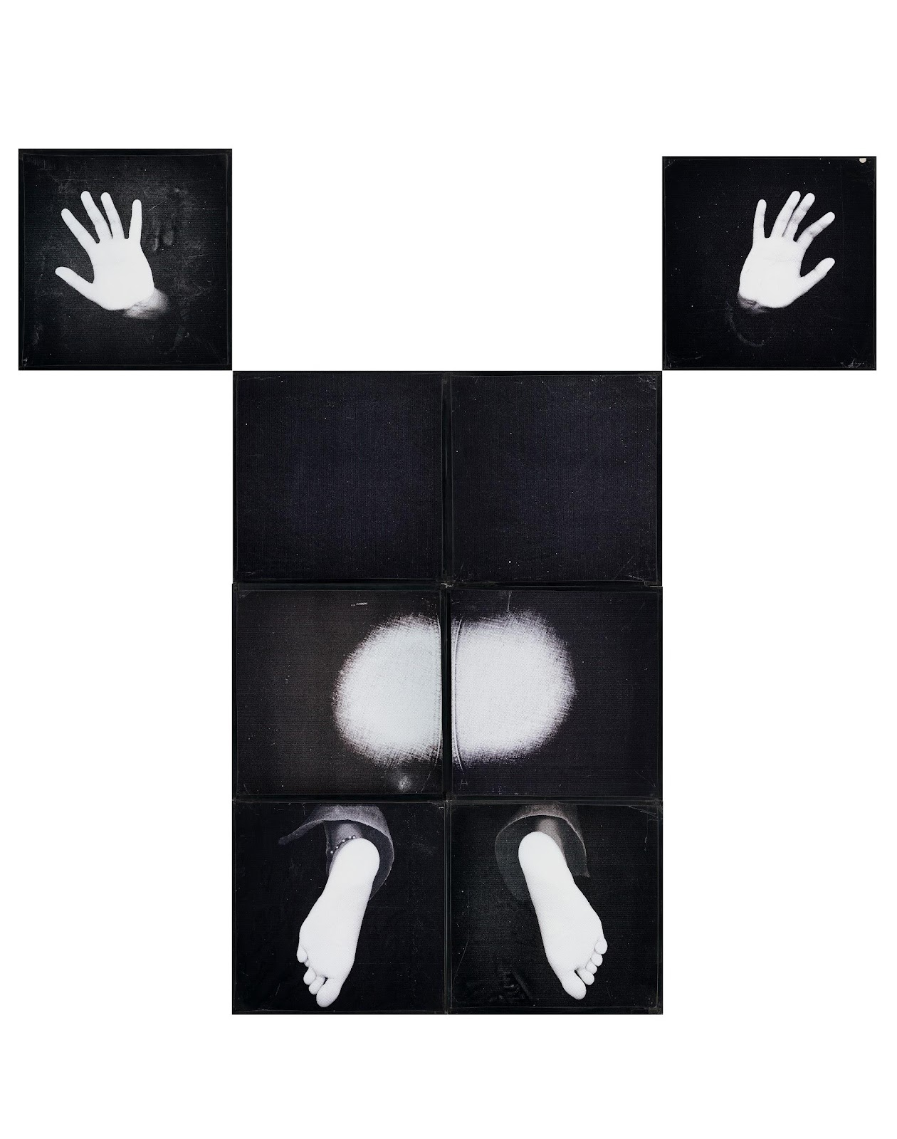 This is a life-size installation of scanned and digitally edited images of her body that are printed on vinyl stickers and pasted on light boxes. Each body part is framed within individual boxes.